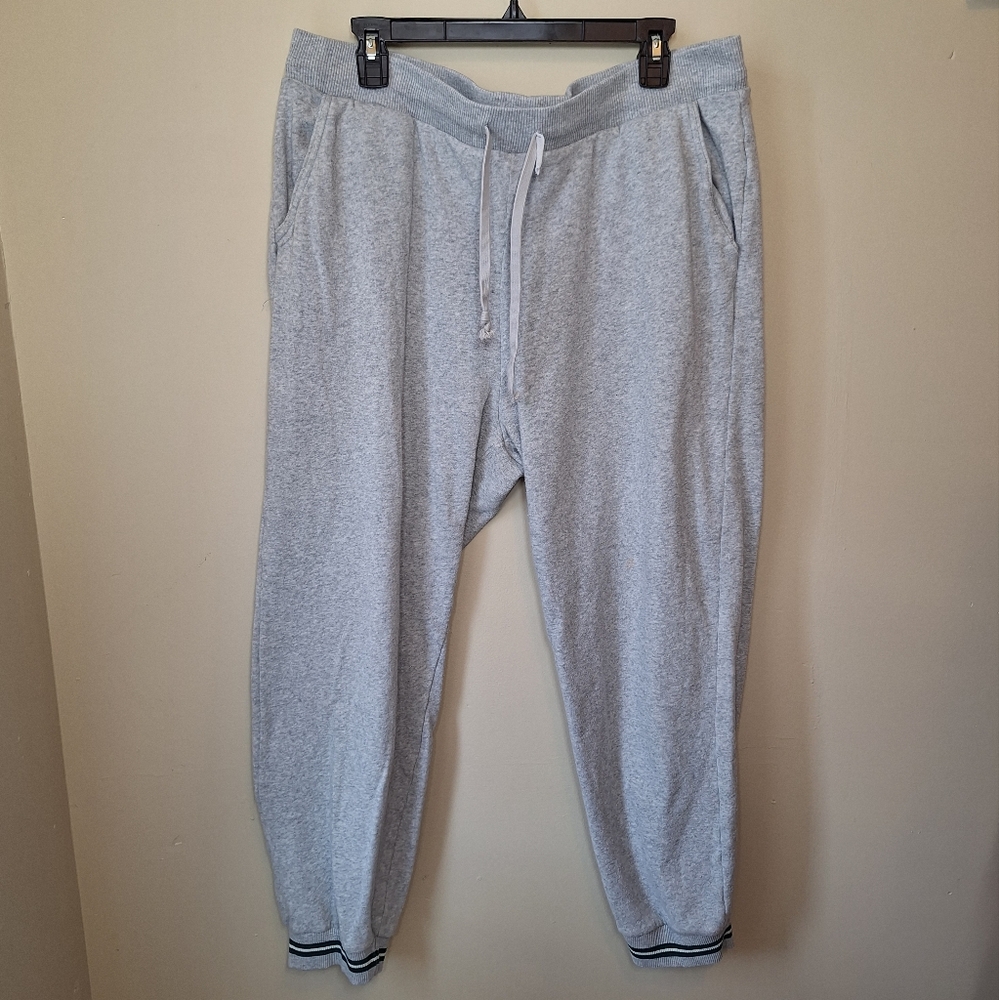 American Eagle Outfitters Heather Gray Joggers/Sweatpants